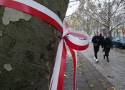 Drzewa na ul. 27 grudnia w Poznaniu z biało-czerwonymi wstążkami. Dlaczego?