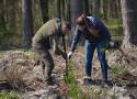 "Lasy Pełne Energii" znowu zazielenią Polskę! Grupa PGE znów rusza z inicjatywą
