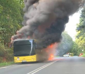 Pożar autobusu na DK11 w Tarnowskich Górach. Pasażerom nic się nie stało
