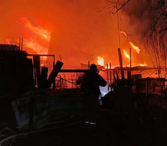 Pożar domu letniskowego na Paluchu. Z ogniem walczyło 18 zastępów straży pożarnej