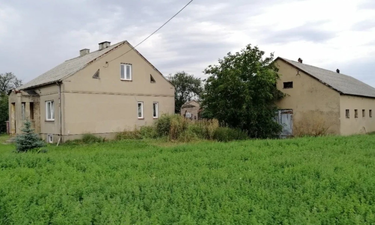 Kujawsko-Pomorskie: dom, gospodarstwo rolne 270 000 zł