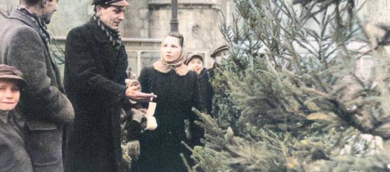 Zdjęcie artykułu z dnia 29-12-2025