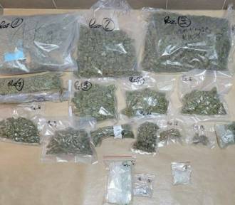 Marihuana, kokaina i kryształ 2-CB. Bydgoscy policjanci przejęli 4 kg narkotyków