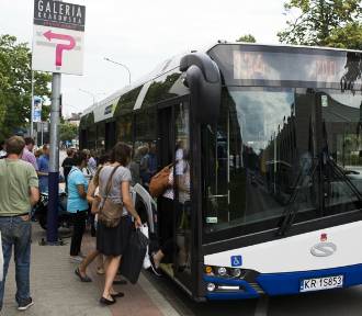 Autobusem do zoo oraz do Ojcowa – krakowskie linie rekreacyjne pojadą częściej