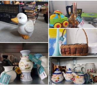 Szpargałek znów zaprasza! Co tym razem będzie można upolować? 