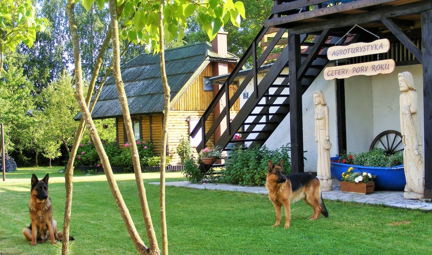 Grochowo w powiecie tucholskim, czyli wypoczynek w pięknych Borach Tucholskich, w domkach nad jeziorem