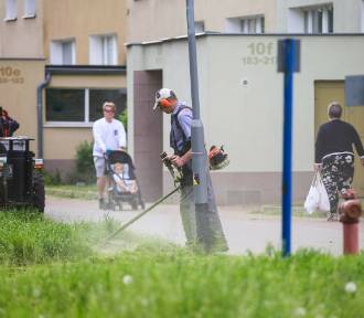 Ta sprawa dzieli mieszkańców Krakowa. Urzędnicy ogłosili harmonogram działania