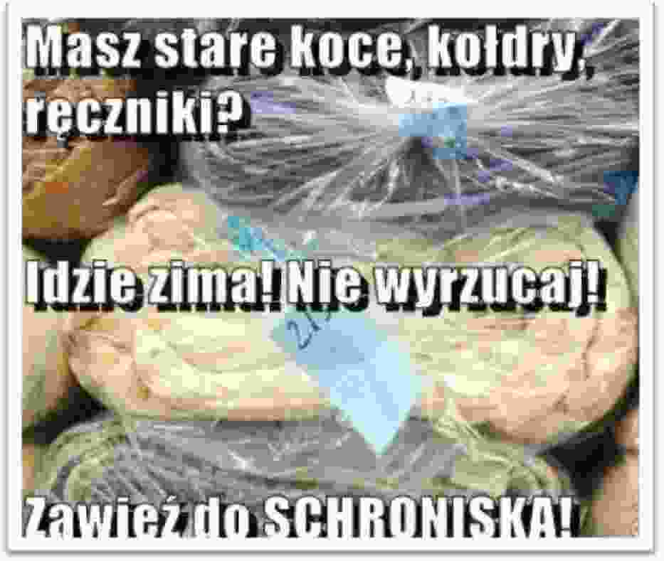 Pomagają psom