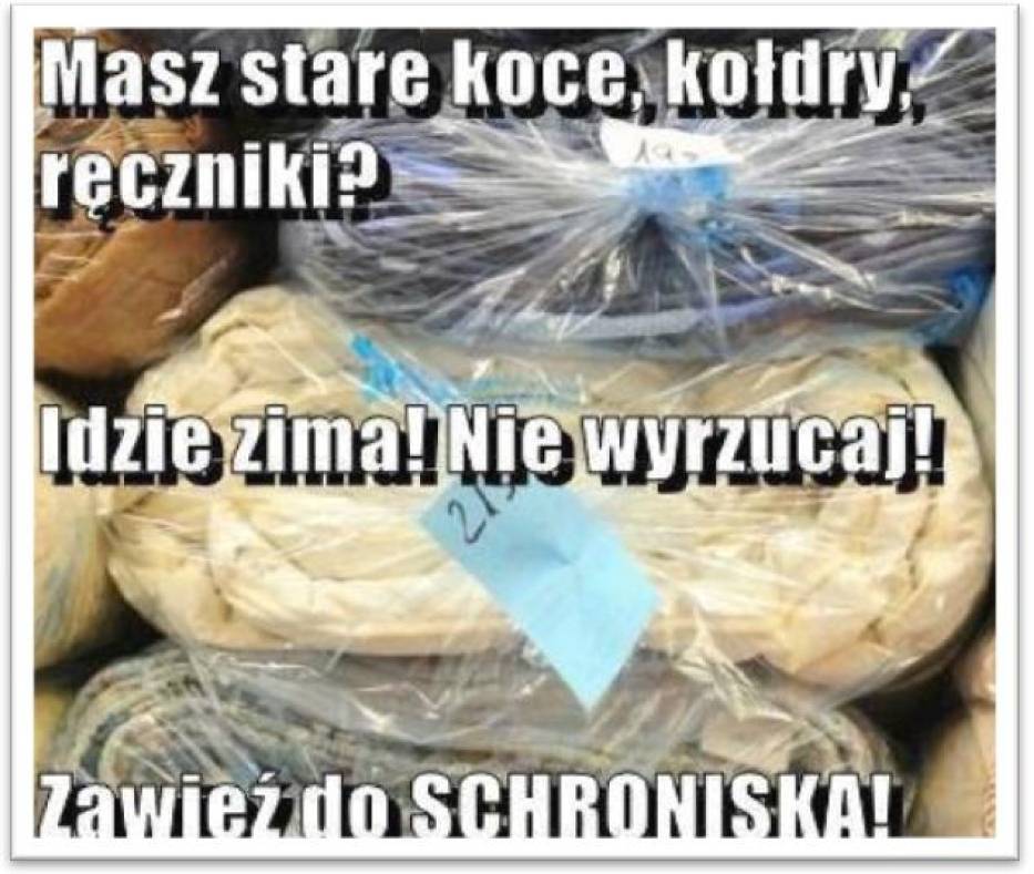 Pomagają psom