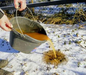 Mieszkańcy Moraska nie mają kanalizacji. Wciąż korzystają ze studni i szamba