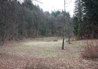 Dobry Fryzjer Krynica Zdroj Naszemiastopl