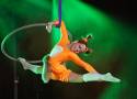 Piotrkowska Fundacja Talentów z wieloma nagrodami na turnieju Aerial Hoop Love To Fly. Były piekne akrobacje i taniec na kole. ZDJĘCIA