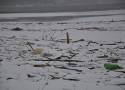 Jezioro Rożnowskie znów tonie w śmieciach. Ostatnio zebrano 4,5 tony nieczystości [ZDJĘCIA]