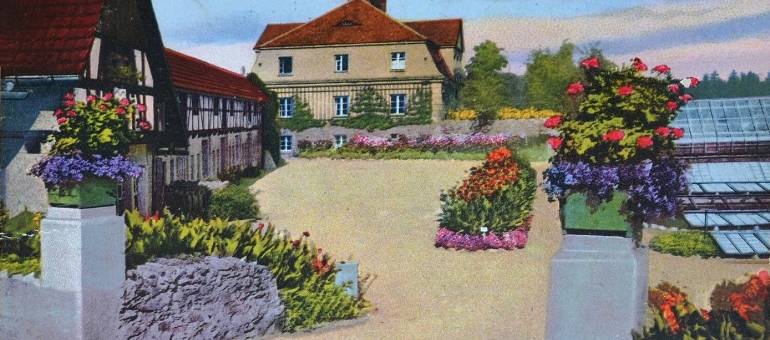 Zdjęcie artykułu z dnia 14-01-2026