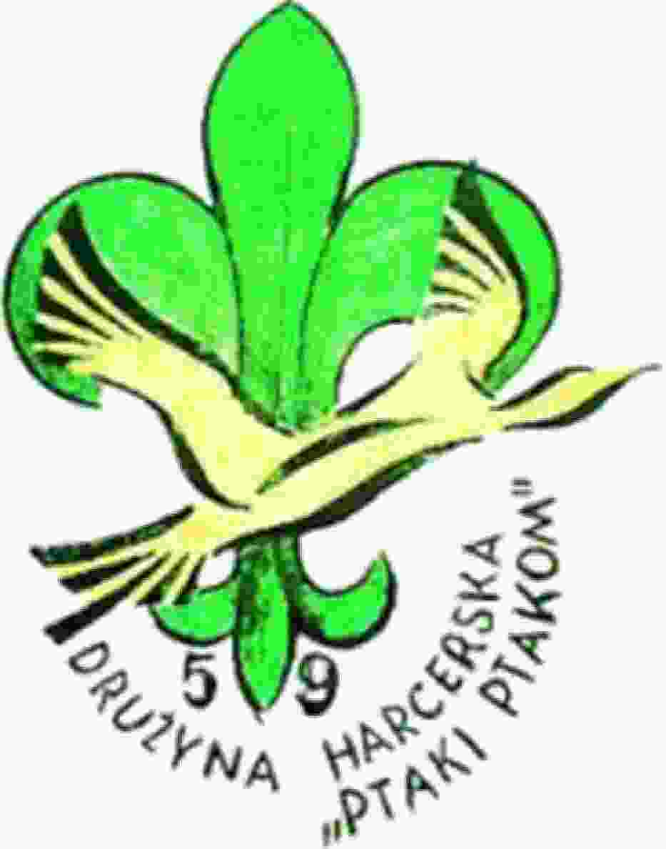 Logo drużyny