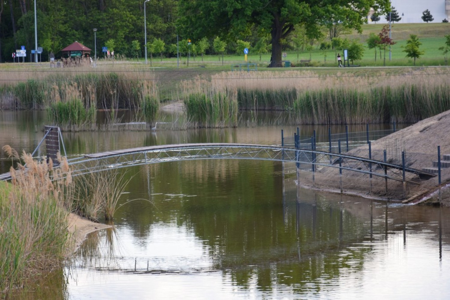 Jeziorko Koźlarskie Chlastawa - 21 maja 2020
