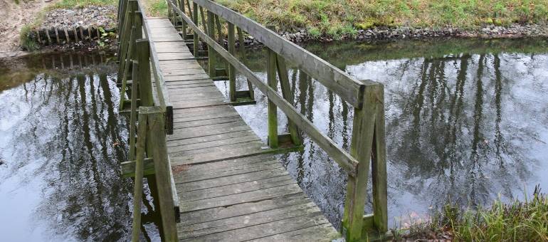 Zdjęcie artykułu z dnia 07-12-2025