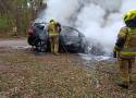 Pożar samochodu osobowego w lesie między Kłudzicami a Łazami Dąbrowa ZDJĘCIA
