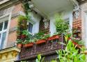 Zatopione w zieleni i kwiatach. Oto najpiękniejsze balkony na Tarninowie