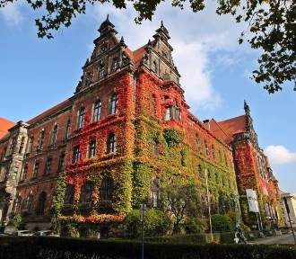 Wspólnoty mieszkaniowe w Sępólnie nie zgadzają się na bluszcz na kamienicach
