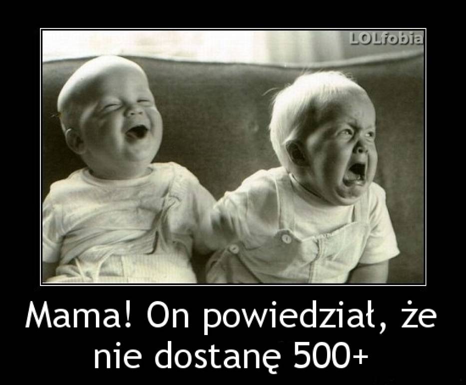 https://d-nm.ppstatic.pl/kadr/k/r/fe/5d/56e0402636369_o,size,933x0,q,70,h,e3f09b.jpg