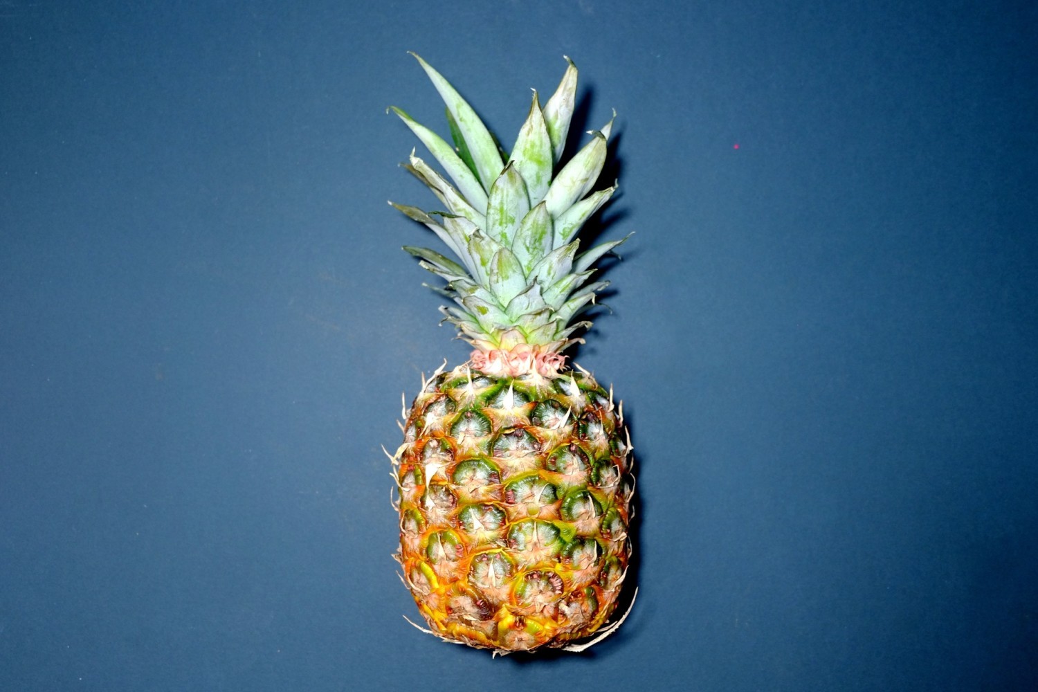Ananas - 2,12 g(zawartość w 100 g produktu)