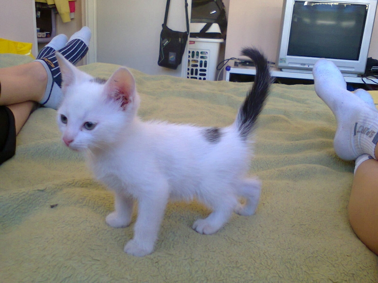 Lucuś :) Lucuś :)