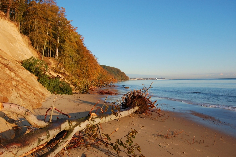 Plaza W Redlowie Galeria Zdjec Gdynia Naszemiasto Pl