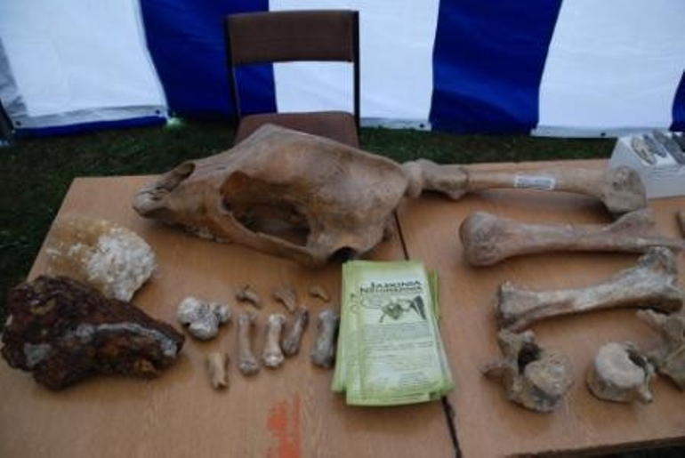 Gmina Jerzmanowice - Przeginia. Kultura Jerzmanowicka - Archeologia wokół mnie Gmina Jerzmanowice - Przeginia. Kultura Jerzmanowicka - Archeologia wokół mnie