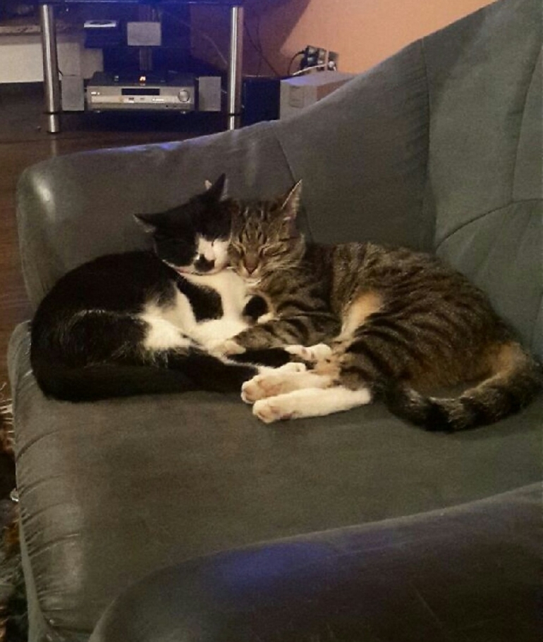 Tchibo i Mavi Tchibo i Mavi