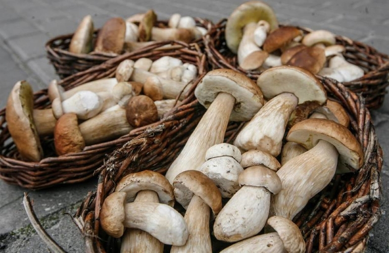Węgliniec Węgliniec