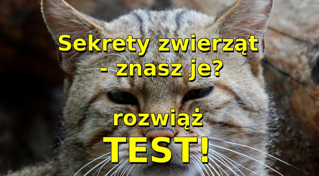 Sekrety zwierząt bydgoskiego ZOO - poznaj je, rozwiąż test! 