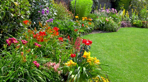 Czy Twój ogród mógłby Cię zabić? Sprawdź, czy znasz trujące rośliny ogrodowe